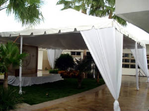 10x10gallito.jpg