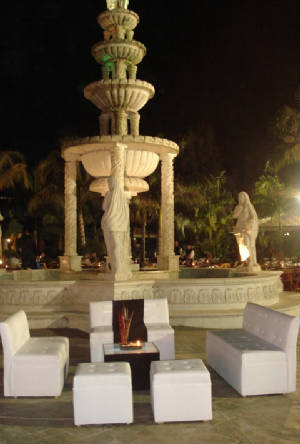 biridiana21.jpg