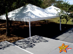 carpas5.jpg