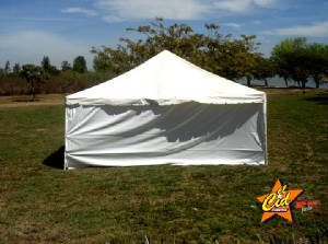 carpas6.jpg