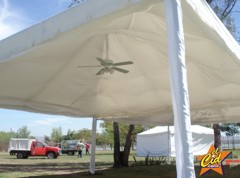 carpas3.jpg