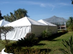 carpas4.jpg