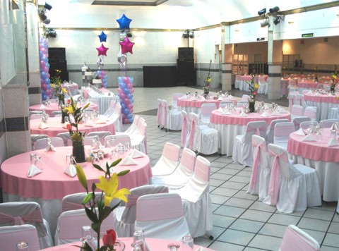 interiorsalonrosa.jpg
